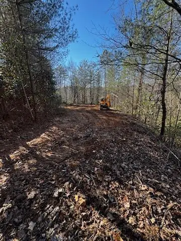 Lot 15 Paradise, Marble, NC 28905