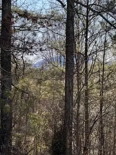 00 Sugar Maple Road, Murphy, NC 28906 - #3