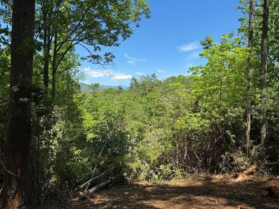 79 Forrest Edge Drive, Murphy, NC 28906 - #3