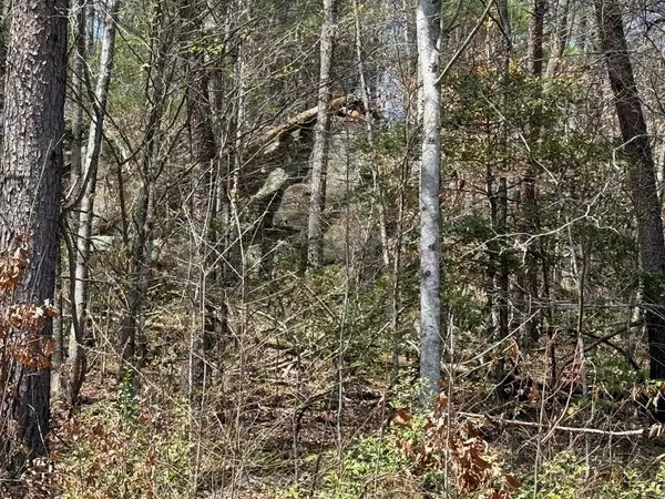 0 Morrow Road, Murphy, NC 28906
