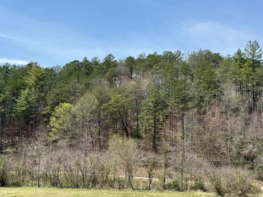 0 Morrow Road, Murphy, NC 28906 - #3