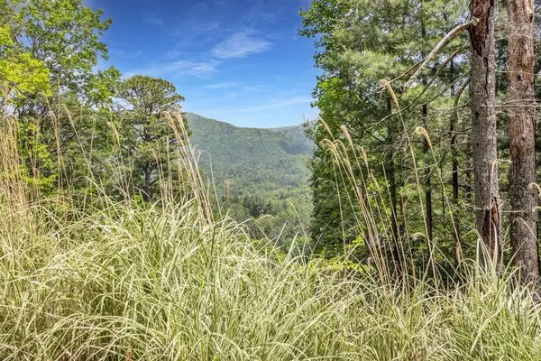 376 Eagles, Blairsville, GA 30512