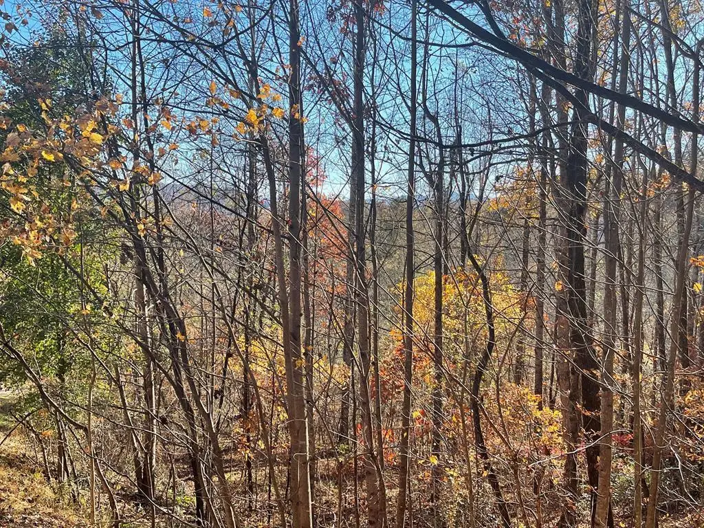 Lot 41c Ash Branch Circle, Hayesville, NC 28904 - #1