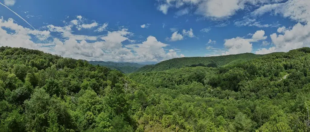 Lot 24 Piedmont Drive, Bryson City, NC 28713 - #1