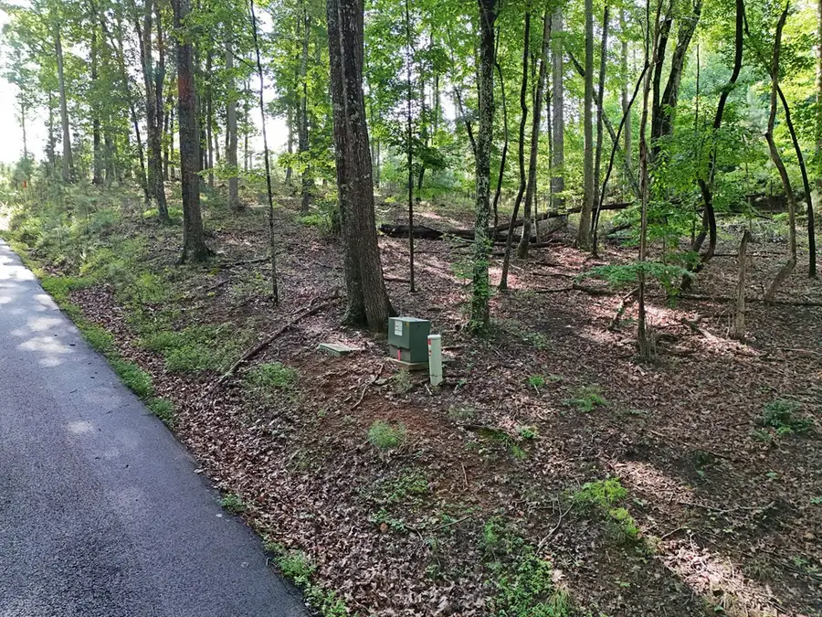 Lot 100 Valley Crest Drive, Blairsville, GA 30512 - #2