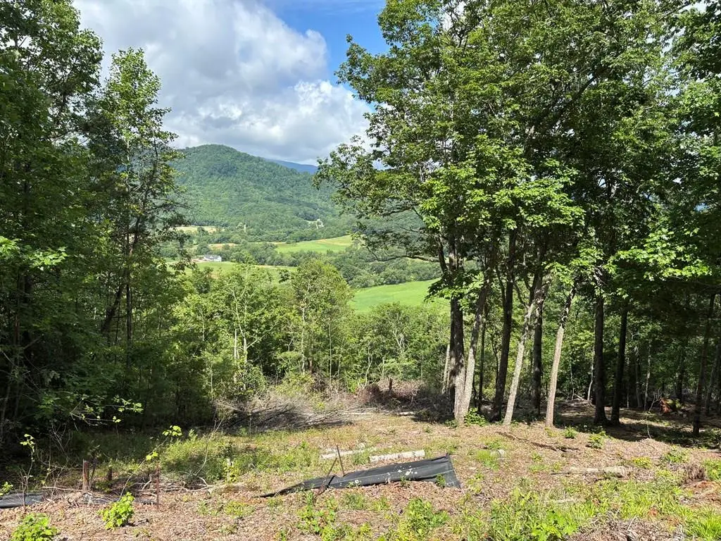 Lot # 17 Buckhead Hills Subdivision, Hiawassee, GA 30546 - #1