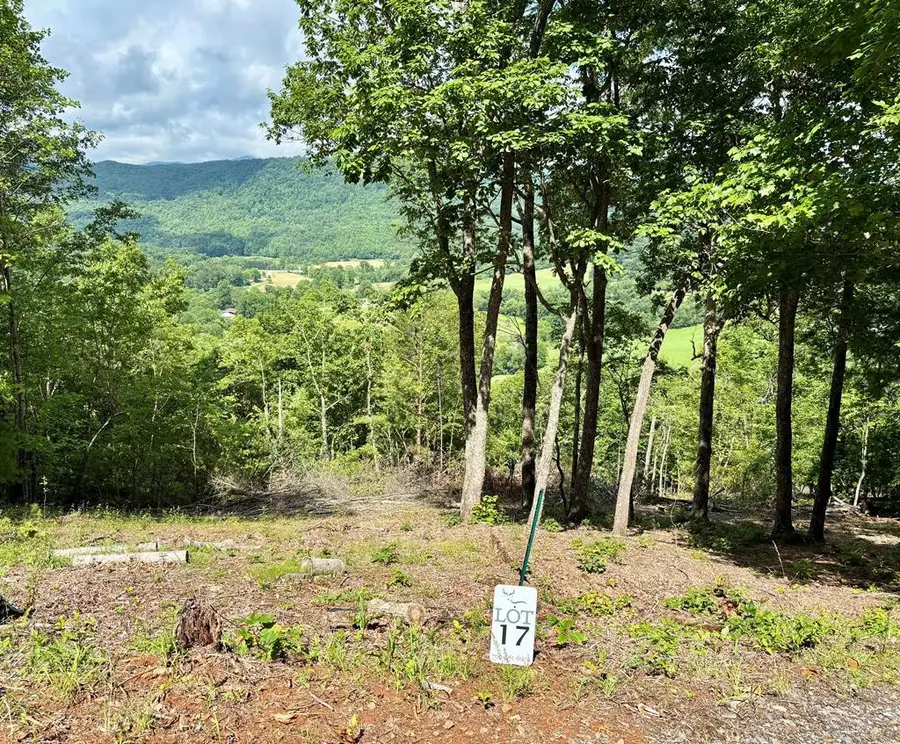 Lot # 17 Buckhead Hills Subdivision, Hiawassee, GA 30546 - #2