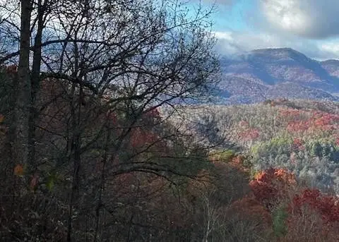 TBD Upper Peachtree Road, Murphy, NC 28906 - #2