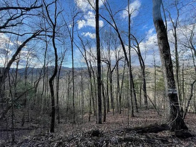 Lt 75E&F Turkey Walk Drive, Marble, NC 28905 - #3