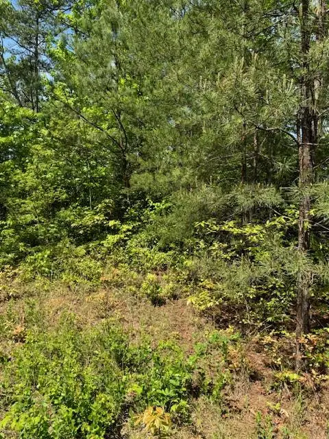 Lot 12 Paradise, Marble, NC 28905