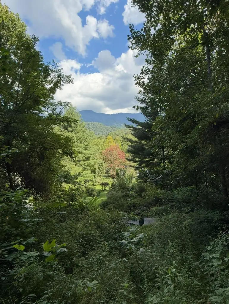 Lot 2 Varsity Drive, Sylva, NC 28779 - #1