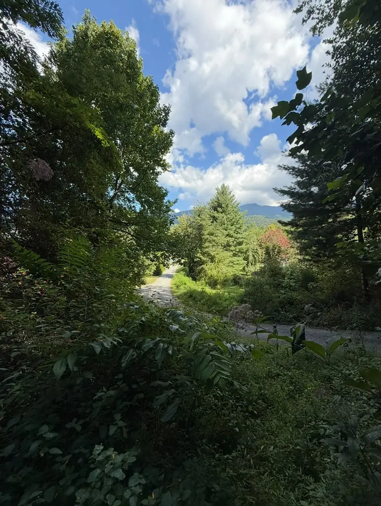 Lot 2 Varsity Drive, Sylva, NC 28779 - #3