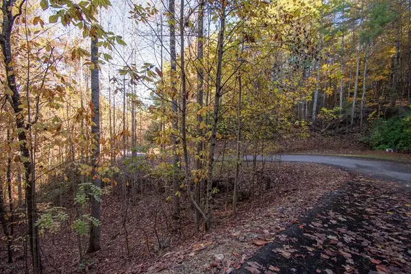 66 Choctaw Ridge Trail, Murphy, NC 28906