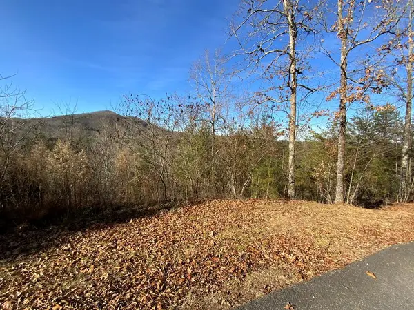 00 Brasstown View, Murphy, NC 28906