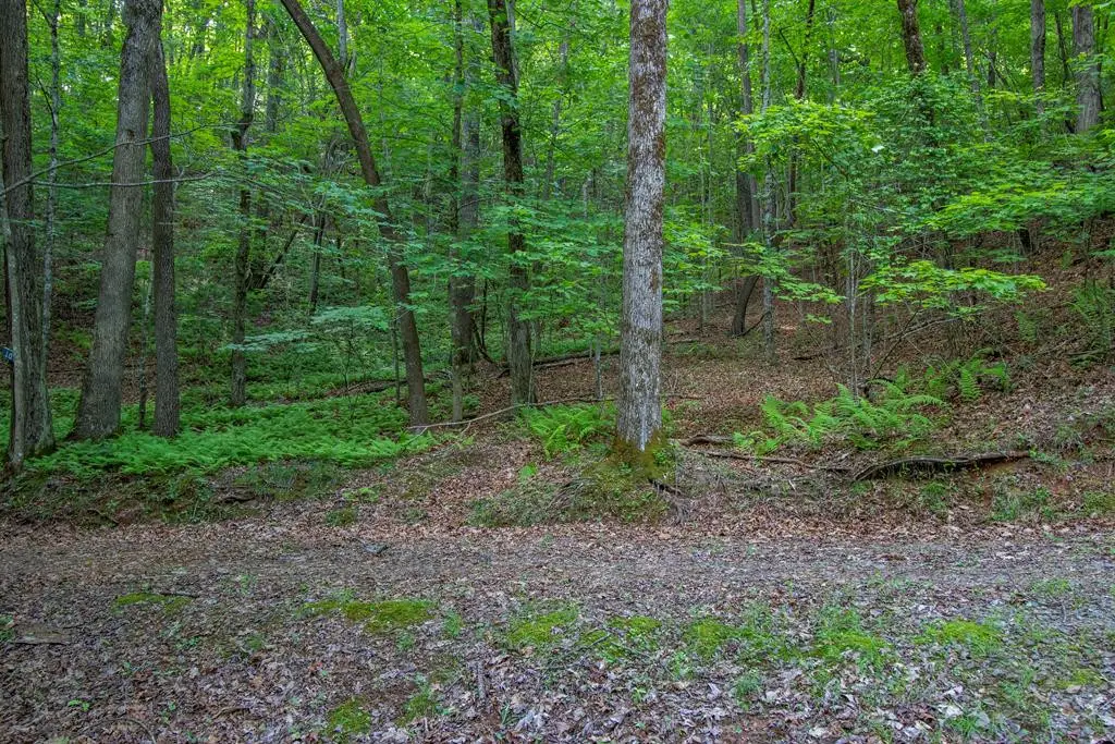 00 Laurel Mountain Road, Brasstown, NC 28902 - #1