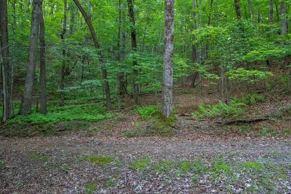 00 Laurel Mountain Road, Brasstown, NC 28902