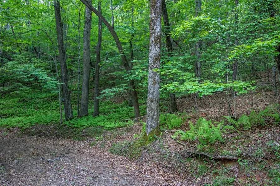 00 Laurel Mountain Road, Brasstown, NC 28902 - #2
