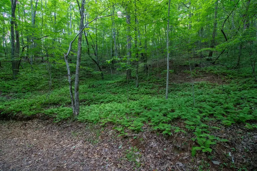 00 Laurel Mountain Road, Brasstown, NC 28902 - #3