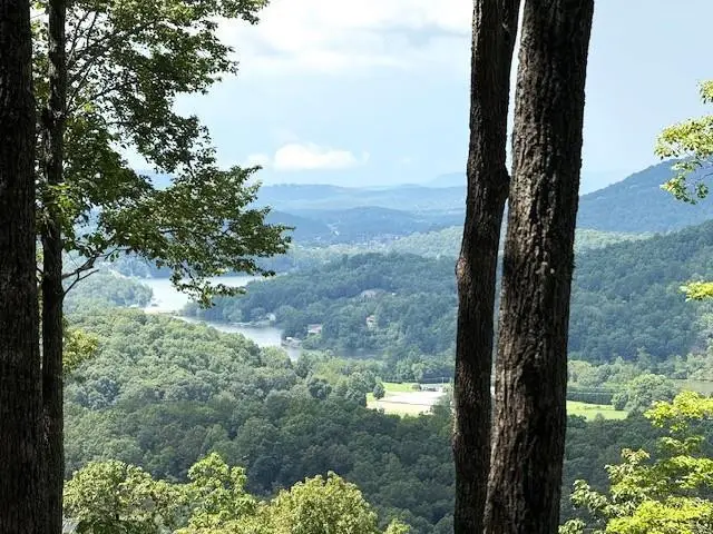 Lot 19 Buckhead, Hiawassee, GA 30546 - #1