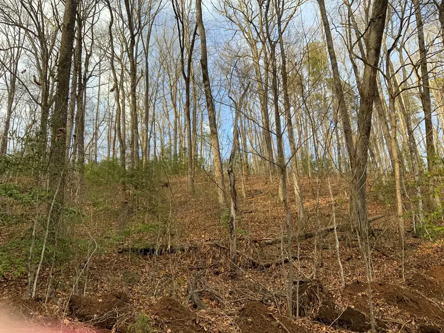 Lot 1 Ivy Log Road, Murphy, NC 28906 - #2