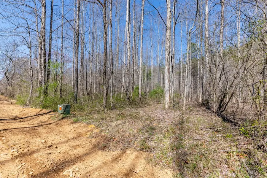 Lots 12+ Tusquittee Crossing, Hayesville, NC 28904 - #3