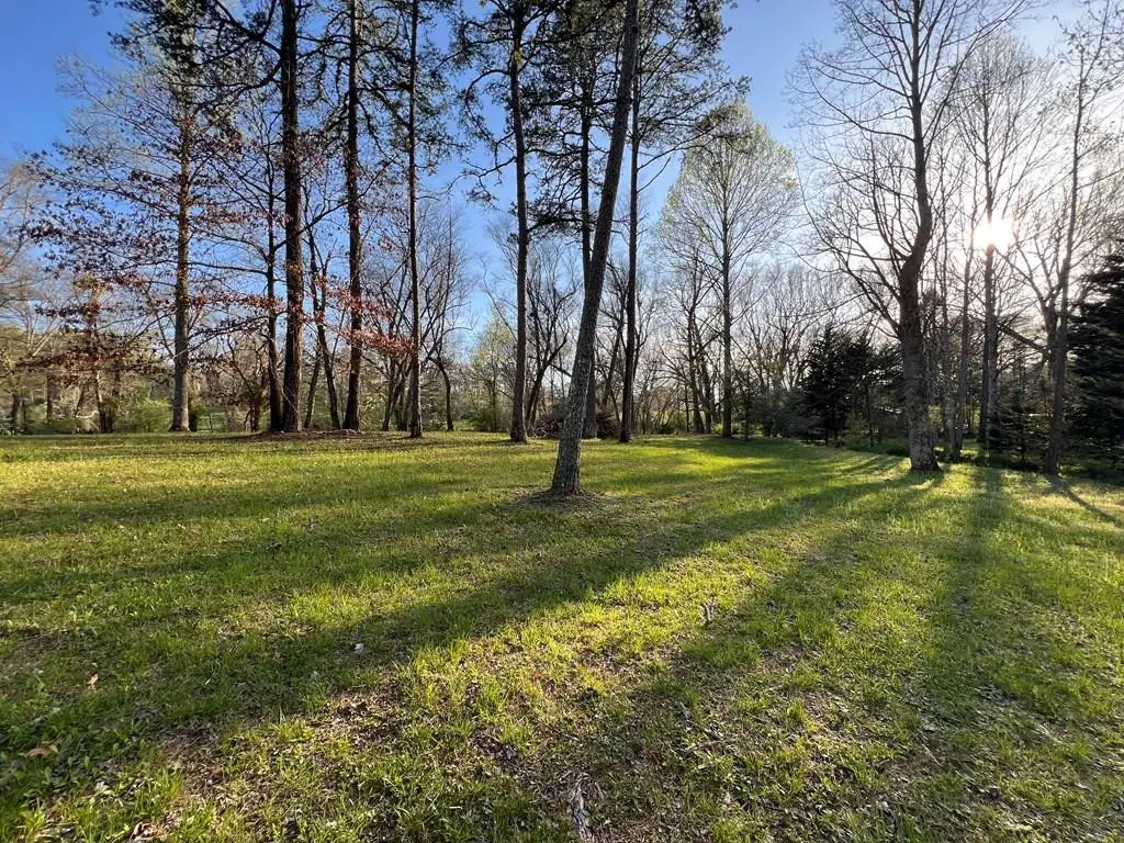 Lot 2 Preserve Road, Murphy, NC 28906 - #1