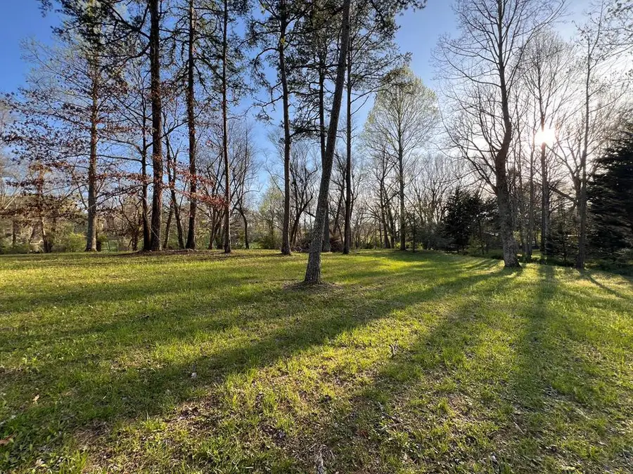 Lot 2 Preserve Road, Murphy, NC 28906 - #3
