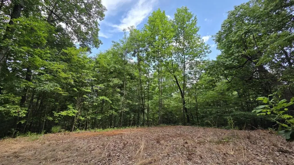 75 Talon Drive, Murphy, NC 28906 - #1