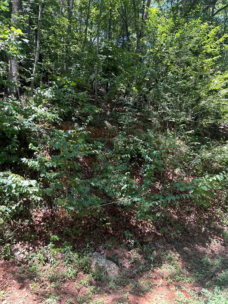 0 Skyview Acres Drive, Murphy, NC 28906 - #2