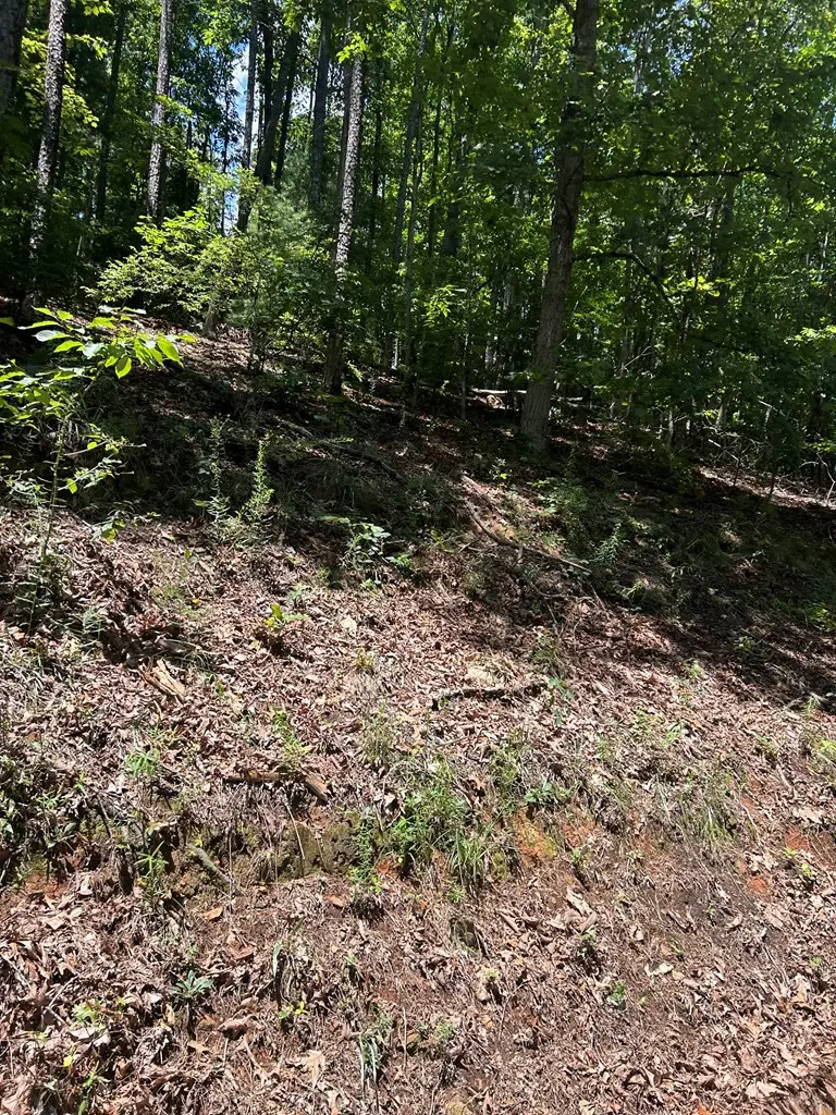 0 Skyview Acres Drive, Murphy, NC 28906 - #3