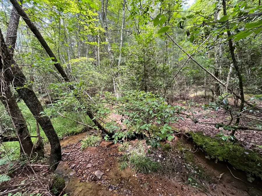 TBD Sheep Knob, Brasstown, NC 28906 - #2