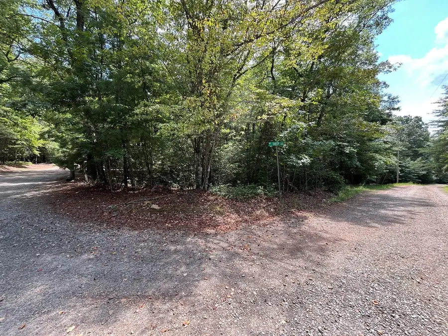 TBD Sheep Knob, Brasstown, NC 28906 - #3
