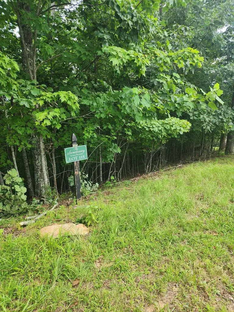 00 Vance Mountain Road, Murphy, NC 28906 - #1