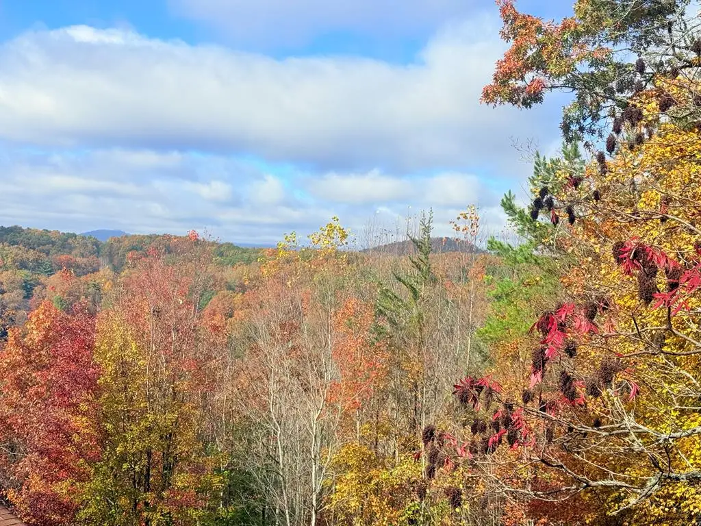 12-4 Cardinal Road, Murphy, NC 28906 - #1