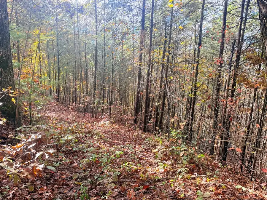 12-4 Cardinal Road, Murphy, NC 28906 - #3