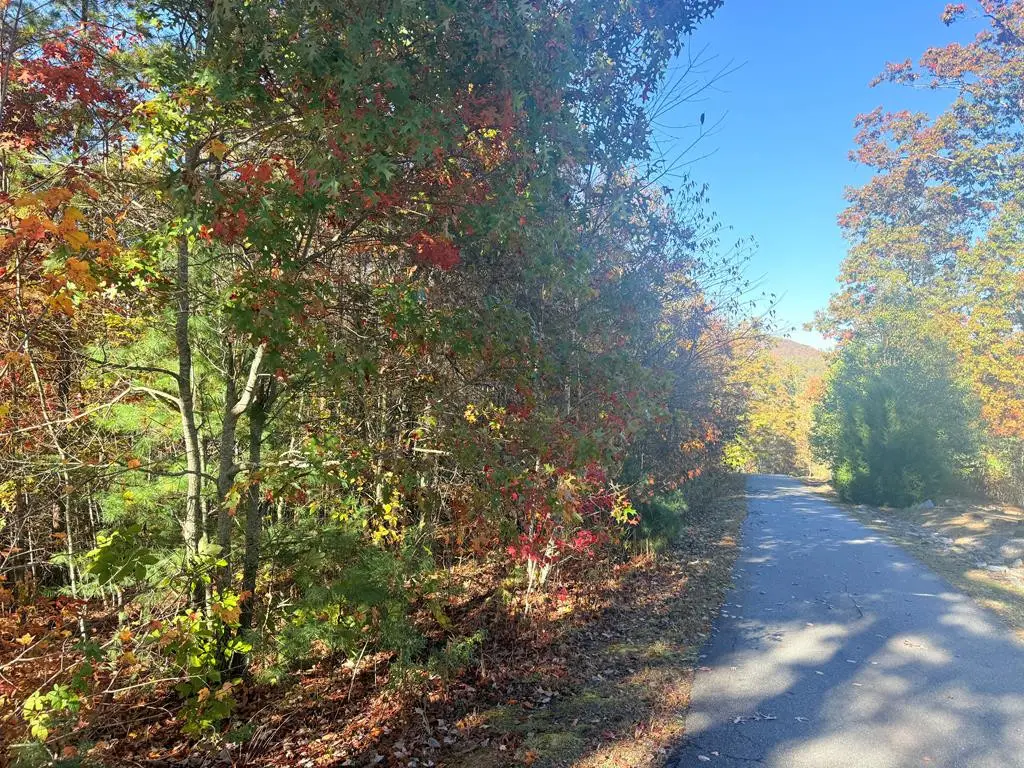 Lot 25 Hideaway Ridge Drive, Murphy, NC 28906 - #1