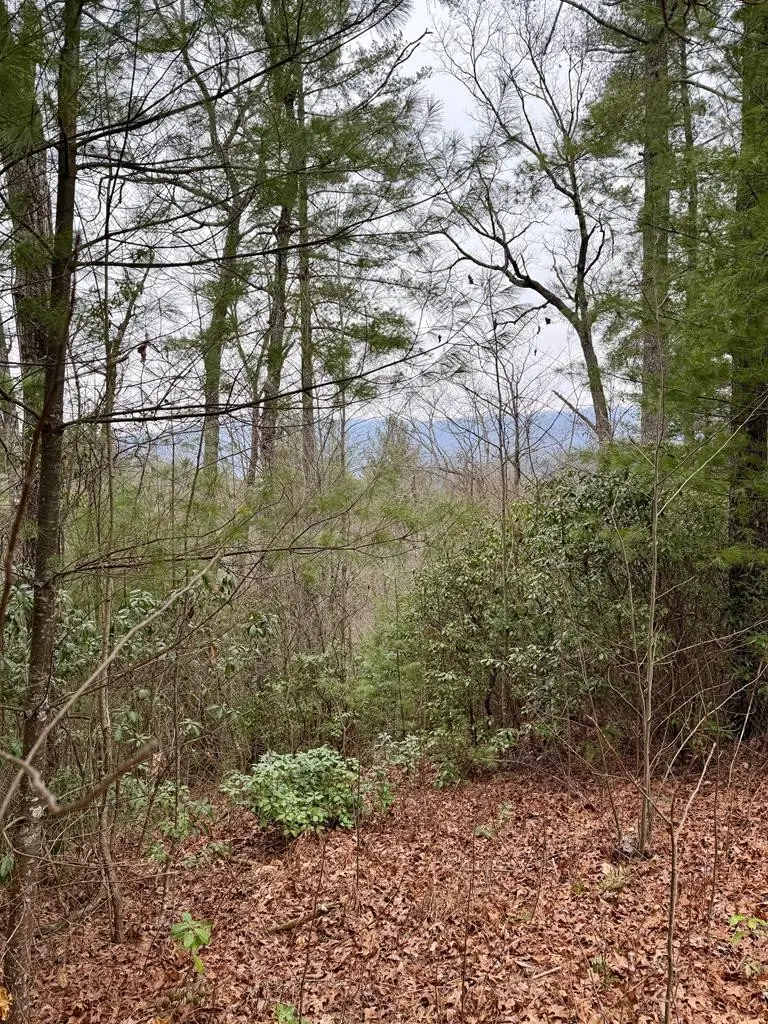 Lot 26 Our Hidden, Murphy, NC 28906 - #2