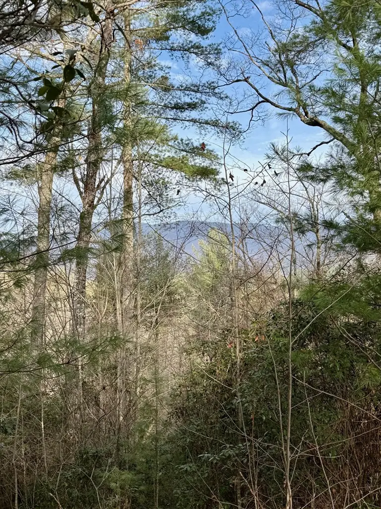 Lot 26 Our Hidden, Murphy, NC 28906 - #3
