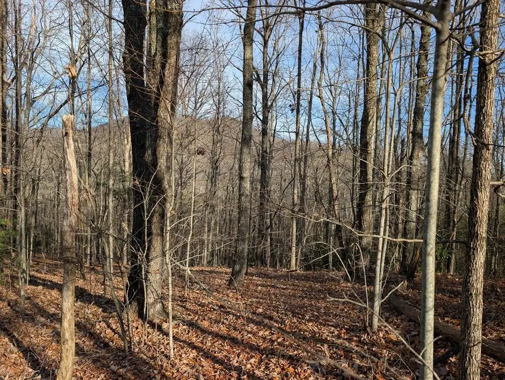 Lot 20 Wilderness Creek Way, Murphy, NC 28906 - #1