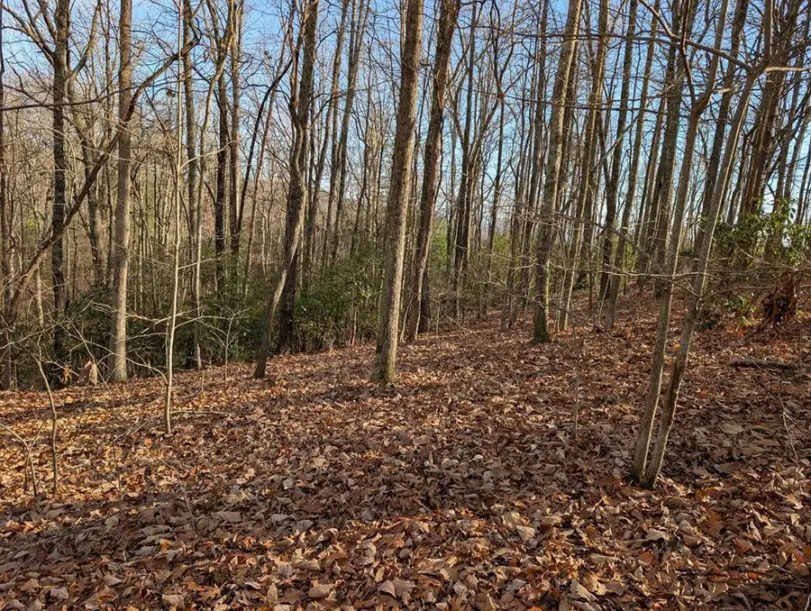 Lot 20 Wilderness Creek Way, Murphy, NC 28906 - #2