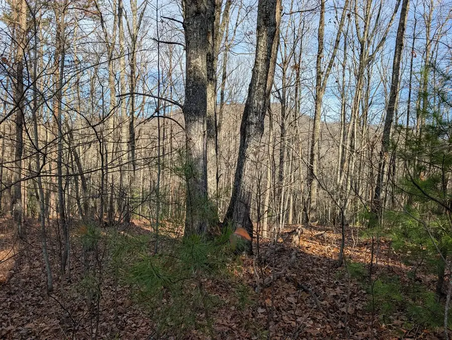 Lot 20 Wilderness Creek Way, Murphy, NC 28906 - #3