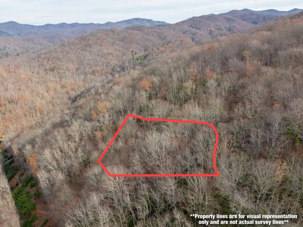 Lot 5 Mountain Tabor, Topton, NC 28781 - #1
