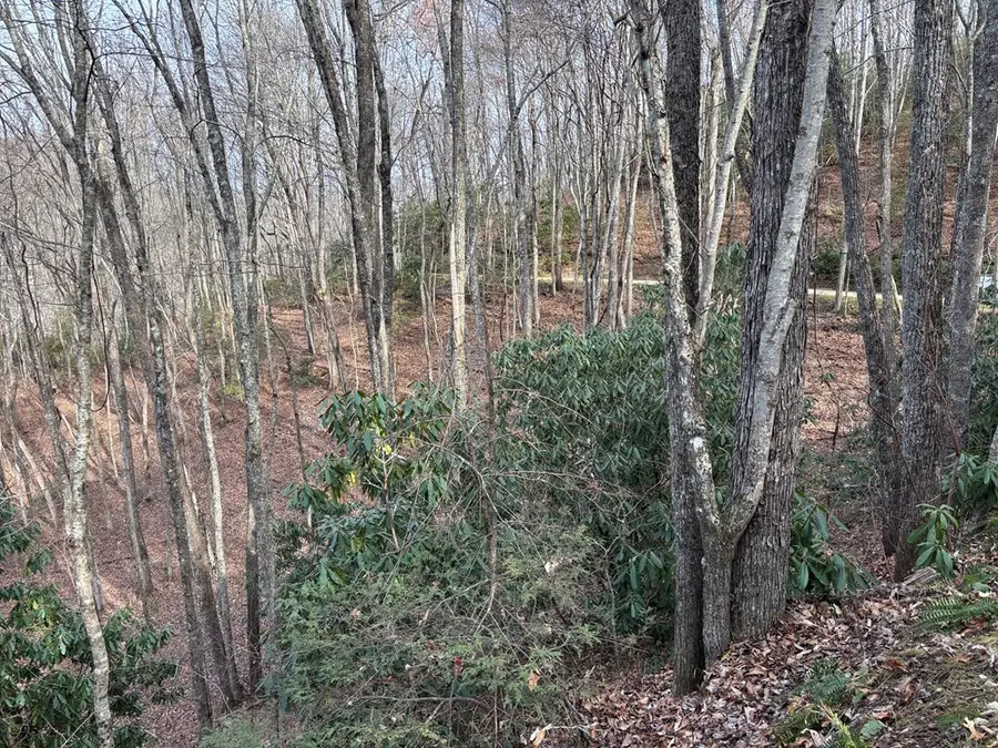 Lot 5 Mountain Tabor, Topton, NC 28781 - #3