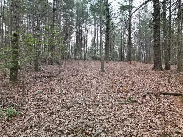 Lot #29 Liberty Road, Murphy, NC 28906