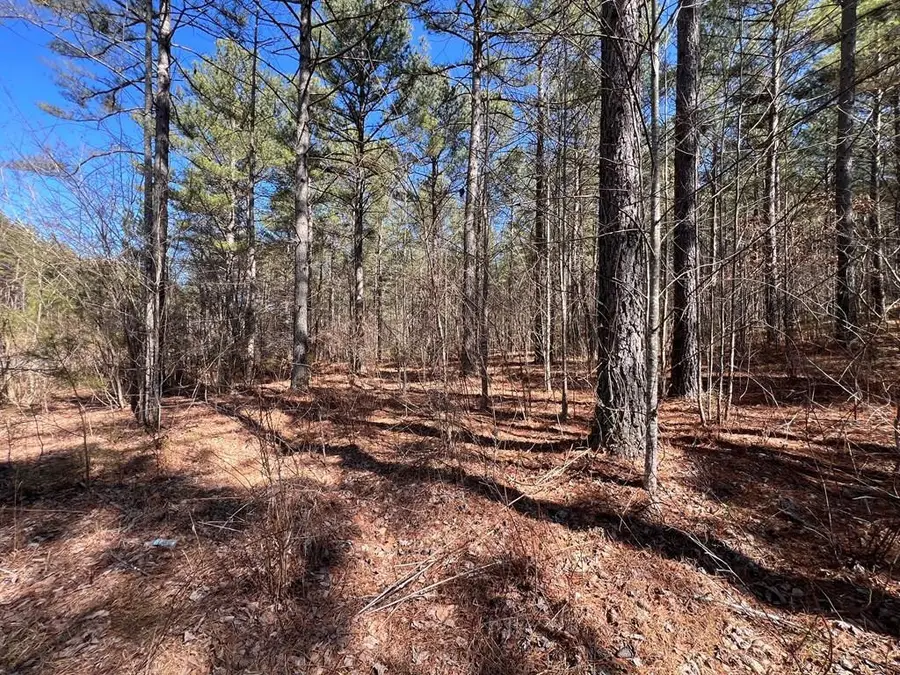 Lot 50 Deyton Drive, Blairsville, GA 30512 - #2