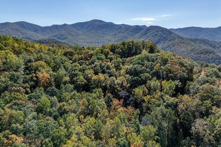 Lot 38 Skyview At Wildlife Acres, Hayesville, NC 28904 - #2