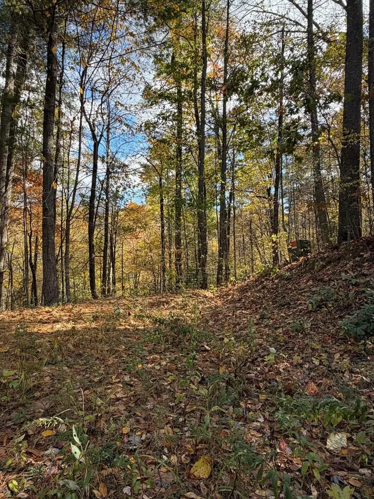 47/48 Little Secret Lane, Murphy, NC 28906 - #1