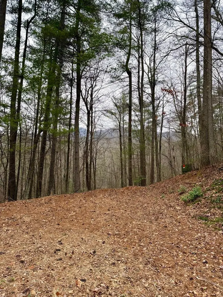 47/48 Little Secret Lane, Murphy, NC 28906 - #3