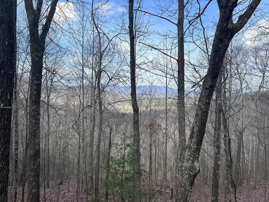 TBD Pack Mountain Road, Murphy, NC 28906 - #3