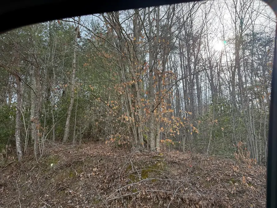 0 Paradise Street, Murphy, NC 28906 - #2